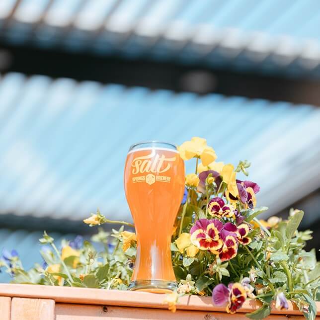 A glass of beer from Salt Springs Brewery is showcased outdoors, nestled among vibrant multicolored pansies, with a blue sky and roof structure in the background.