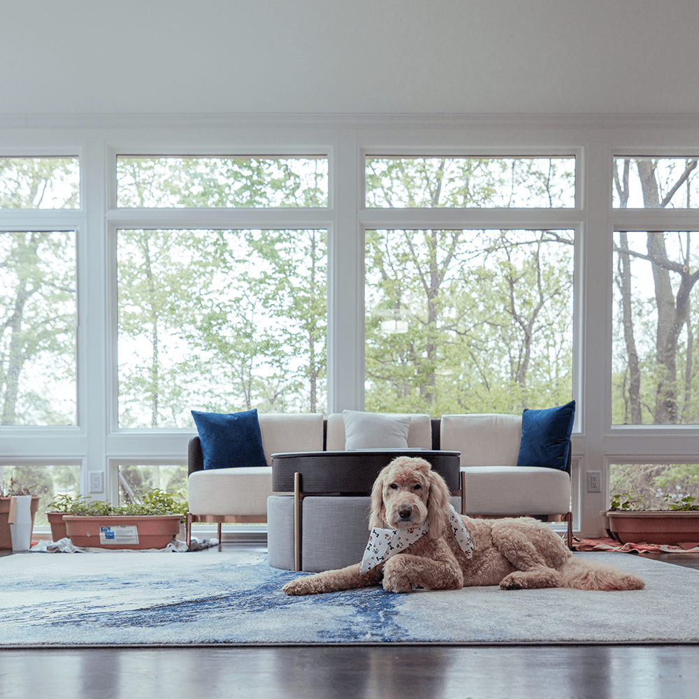 Interior view of sunroom addition with dog