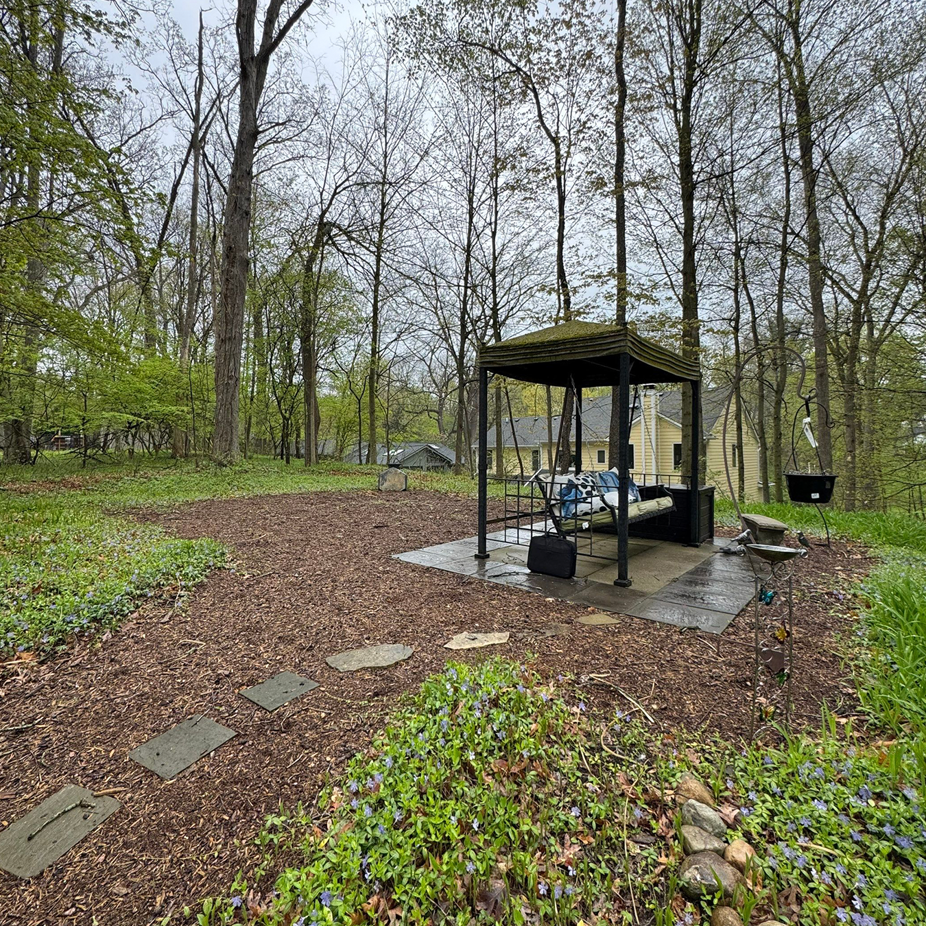 Wooded backyard area before structure installation in Northville Michigan